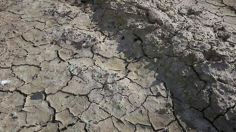 Waterbeheerders nemen maatregelen vanwege neerslagtekort: 'Haringvlietsluizen sluiten'