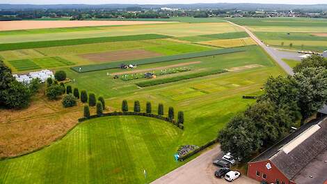 Video: Proefveld toont positieve effecten van groenbemestermengsels