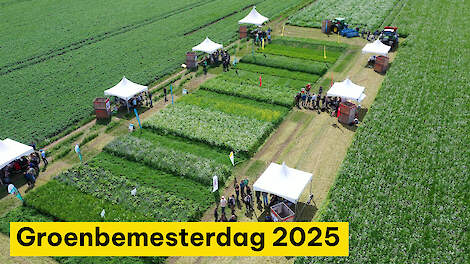 Dit was de Groenbemesterdag 2025! - Stikstof en structuur