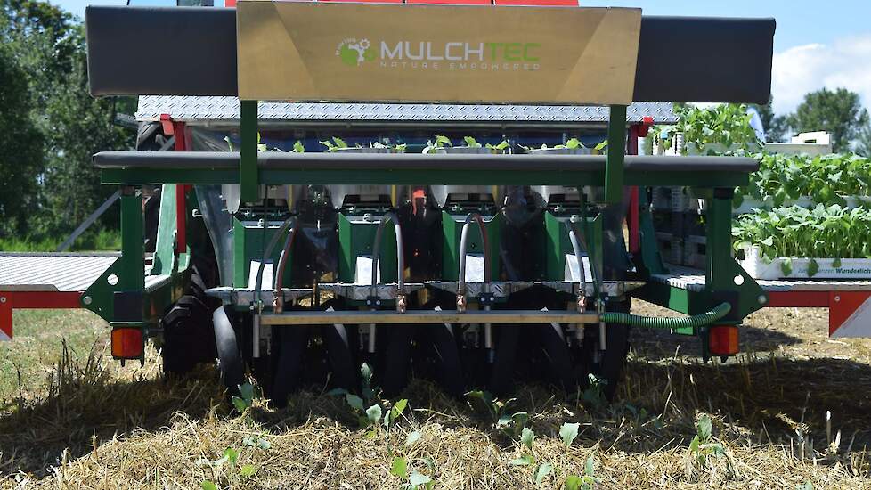 Koolplanten in mulch met MulchTech planter