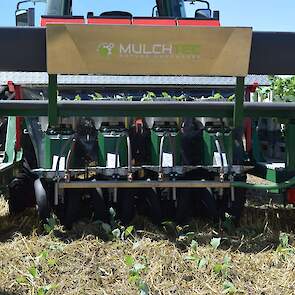 Koolplanten in mulch met MulchTech planter