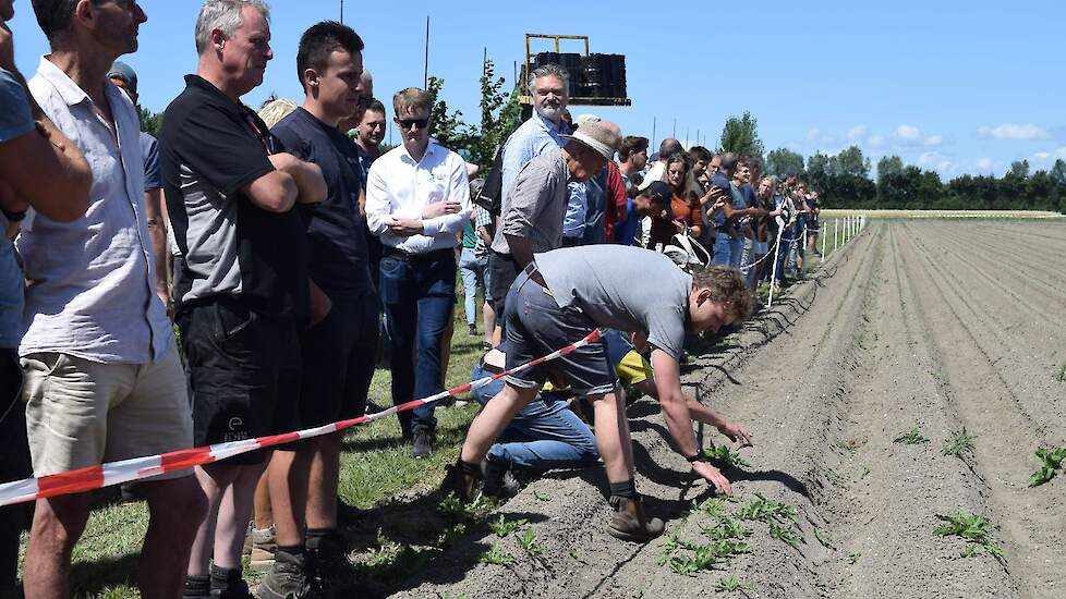 Voor de veiligheid achter de draad bij de wieddemo