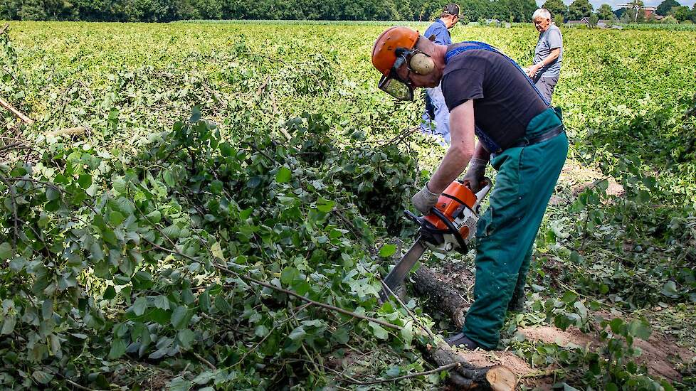 Noaberschap in de Achterhoek: met vereende krachten wordt er gezaagd en opgeruimd.
