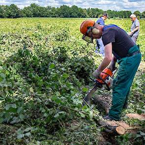 Noaberschap in de Achterhoek: met vereende krachten wordt er gezaagd en opgeruimd.