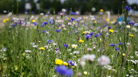 Korting van 10 procent op eco-regelingen dreigt
