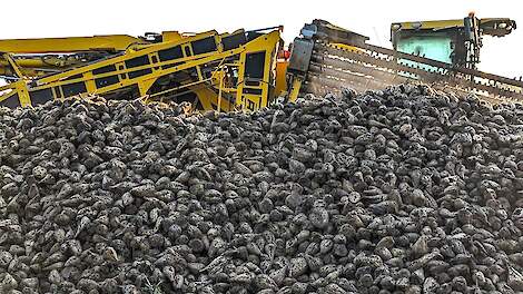 Nieuw internationaal evenement rondom suikerbieten: SugarBeet Expo