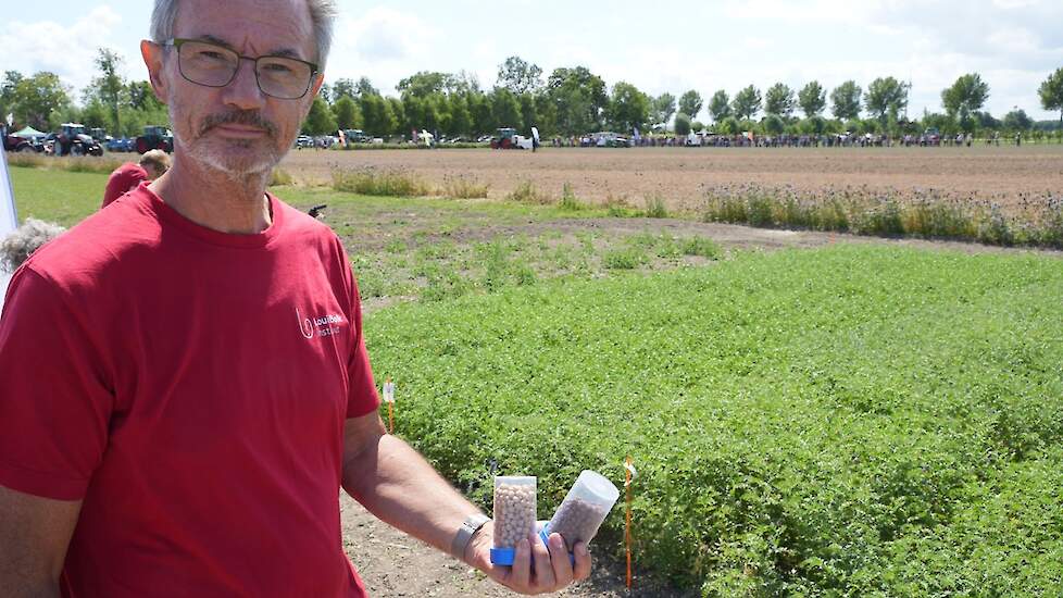 Kikkererwten Peter Keizer