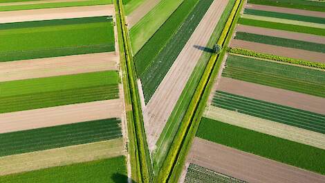 Strokenteelt haalbaar met bestaande mechanisatie