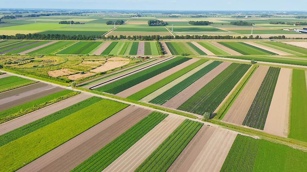Strokenteelt en voedselbos Zonnegoed