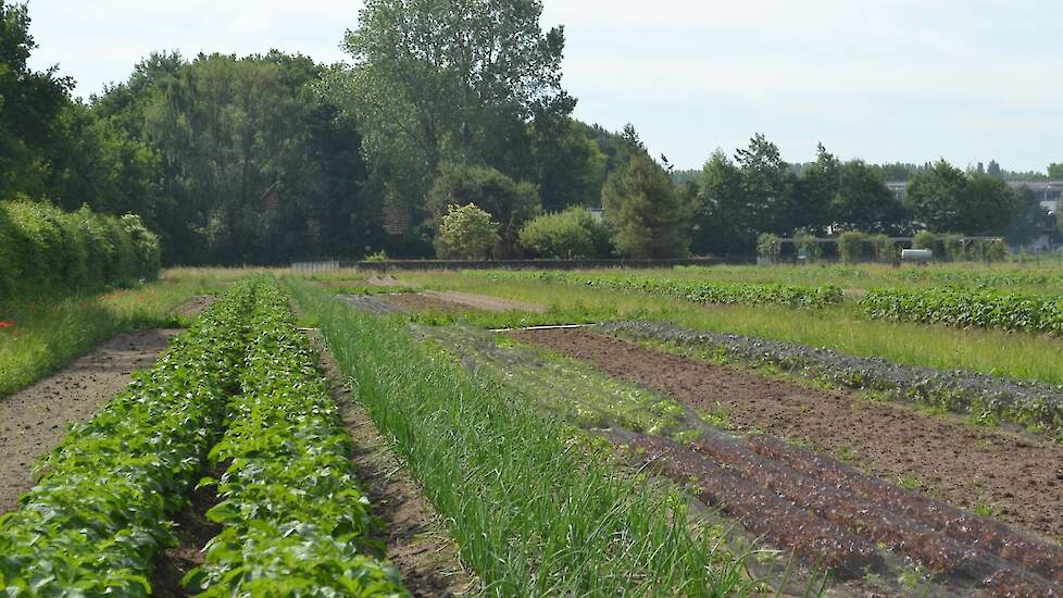 EET Wageningen