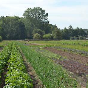 EET Wageningen