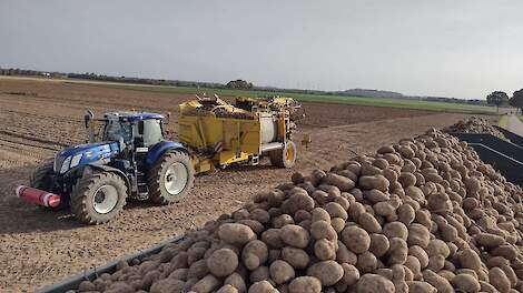 Vraag naar vrije aardappelen oogst 2024 ingestort