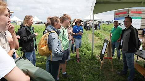 Groenbemesterdag: Inzichten rond groenbemesters op een rij