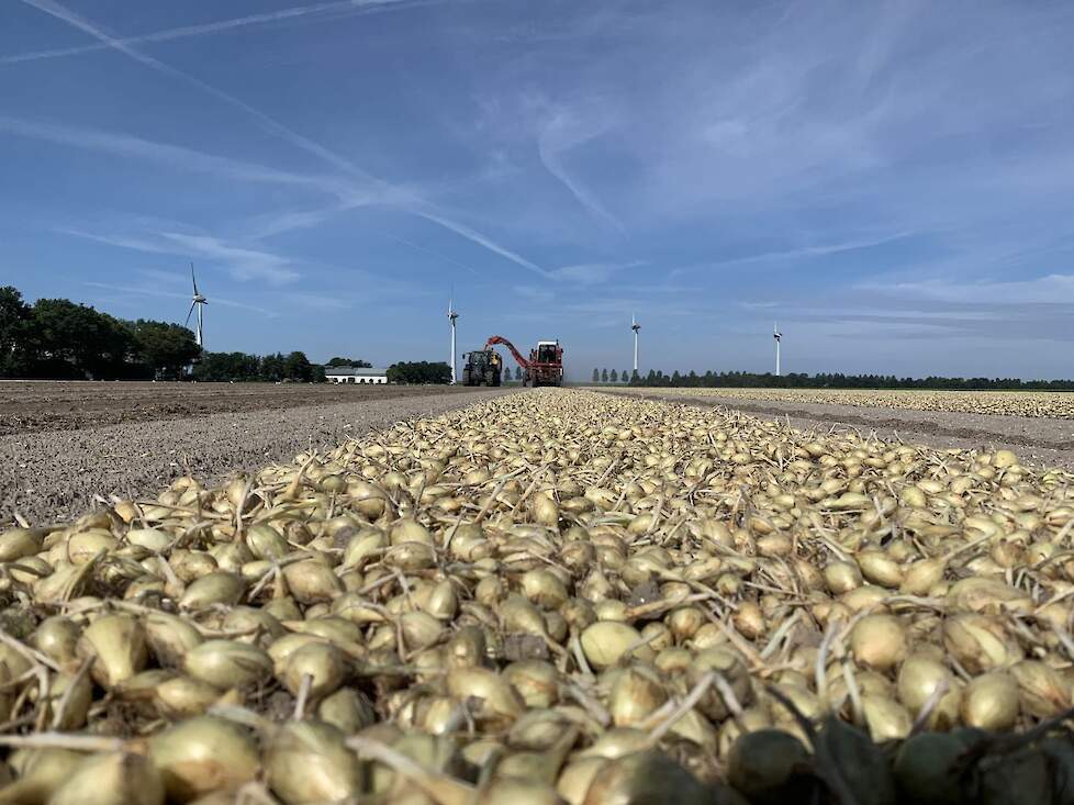 Maximale bescherming voor zilveruien en eerstejaars plantuien