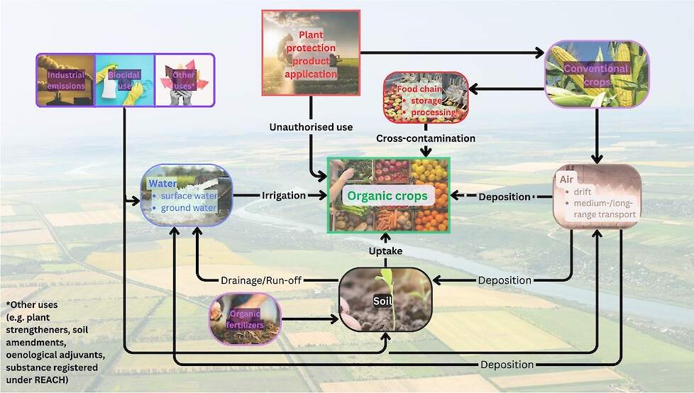 Routes waarlangs residuen terechtkomen in biologische gewassen, bron: EFSA
