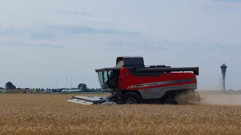 Klaasse Bos oogst tarwe met arenstripper voor vliegveiligheid Schiphol