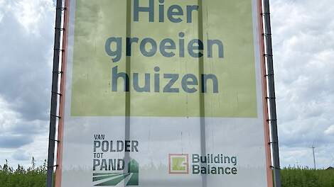 Column: Zomer in Flevoland