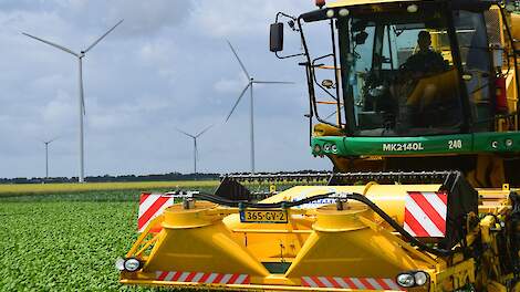 Video: Spinazieoogst in Biddinghuizen