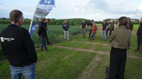 Onkruidmiddelen beperken in uien is puzzel met veel stukjes