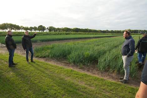 Uien behandeld met Spotsprayer