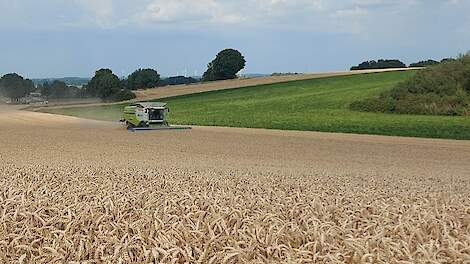 Nederlandse graanprijzen redelijk stabiel, mondiaal in de lift