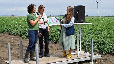 Gratis en praktisch: handboeken voor boeren die hun bodem willen verbeteren