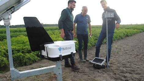 Sporenvangers helpen phytophthora vroeg detecteren