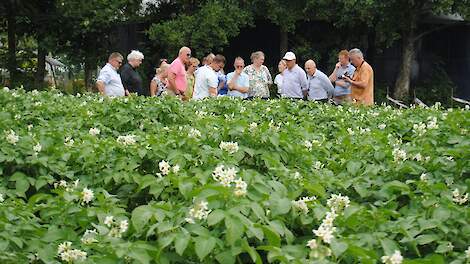 Risicoverzekering als alternatief voor preventief spuiten