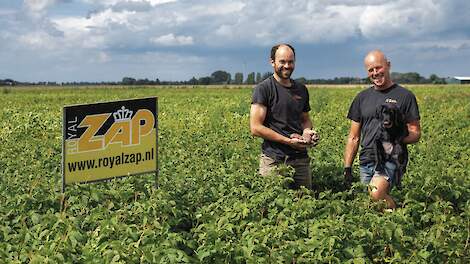 ‘Onze rassen blijven de weg naar buitenland vinden’