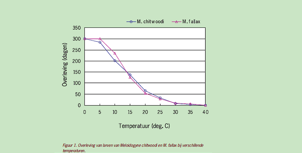 Overlevingsduur van chitwoodi bij verschillende temperaturen zonder waardplant. Bron: WUR, Kok & Korthals (2007)