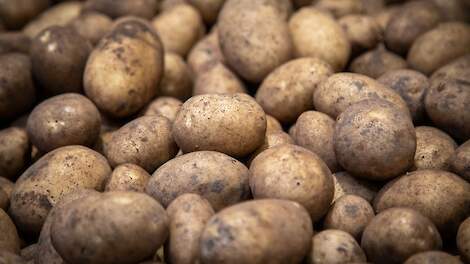 'Ctgb geeft geen uitstel voor dossier Talent'