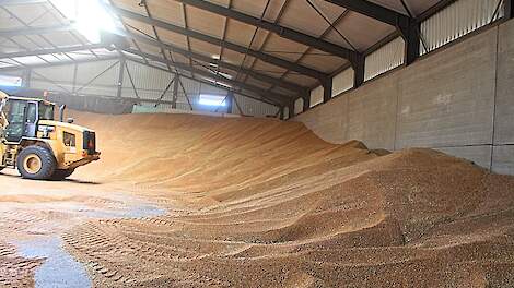 Verdere daling tarwe- en gerstnoteringen