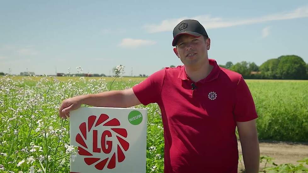 Groenbemesters kiezen: zo maak je in 4 stappen de juiste keuze
