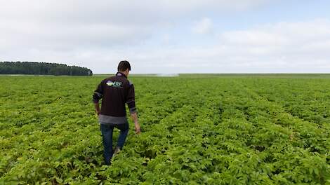 PhytoAlert: samen sneller reageren op Phytophthora