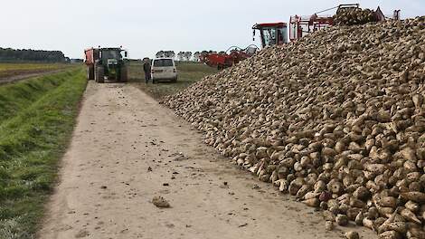 Bietencampagne start op 8 september