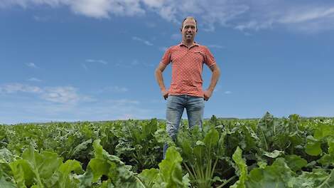 TESTIMONIAL: Van tarra-problemen naar topresultaten met suikerbieten