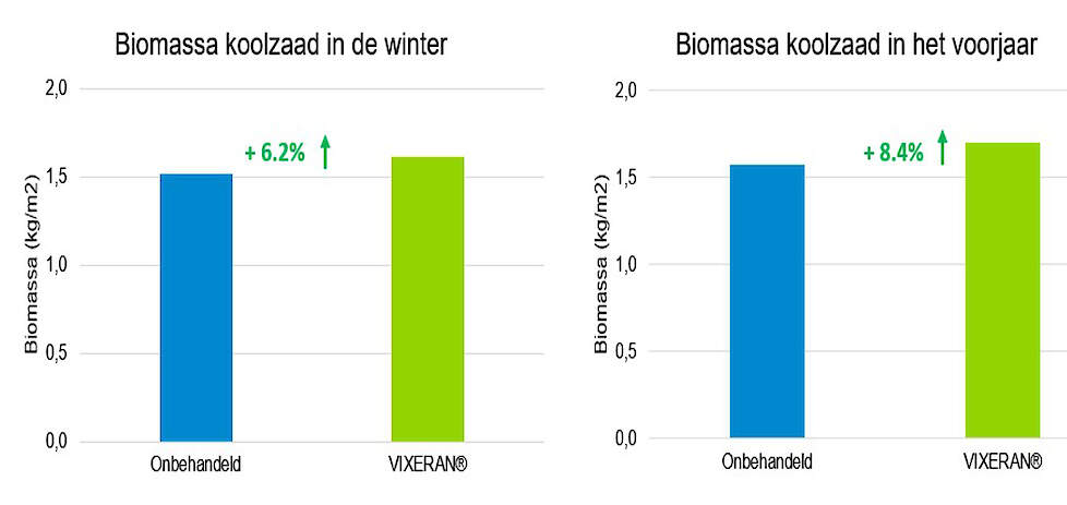 Vixeran in koolzaad