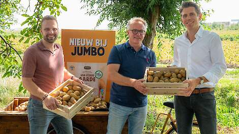 Jumbo legt regeneratieve aardappelen prominent in de schappen