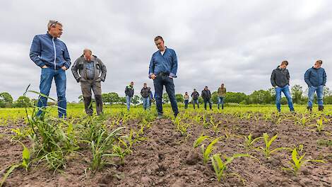 Vocht in de Drentse zandgrond houden: ervaringen op Nieuw Altinge uit metingen