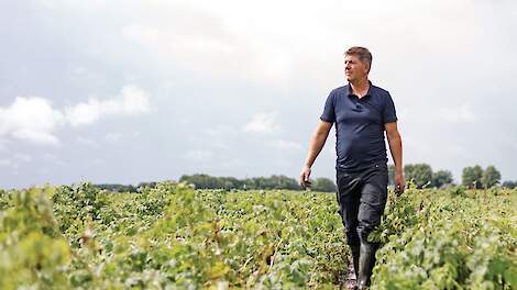 ‘Er is zóveel kennis opgebouwd rond Talent’