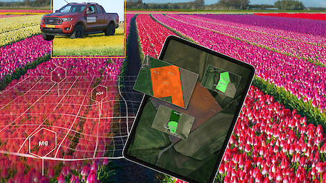 Ervaringen bodemscan in bloembollen