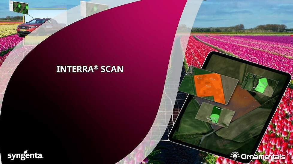 INTERRA scan in de sierteelt