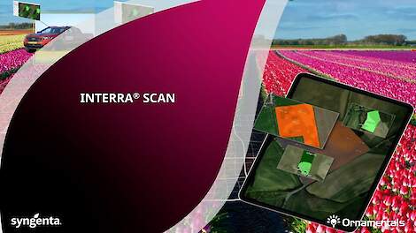 INTERRA scan in de sierteelt
