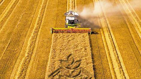 DSV graanveredeling op wereldniveau: kampioen in wintertarwe, koppositie in wintergerst