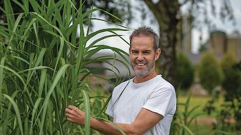 Van varkens naar olifantsgras