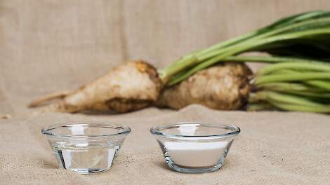 Ook Sensus ervaart onzekerheden mondiale handelsbelemmeringen