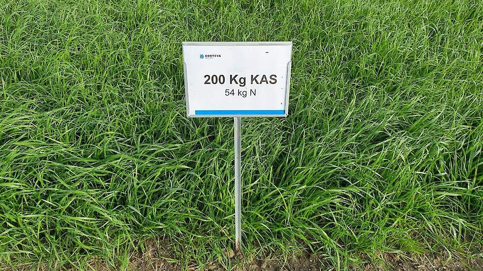 Foto 4: 200 Kg KAS – met BlueN