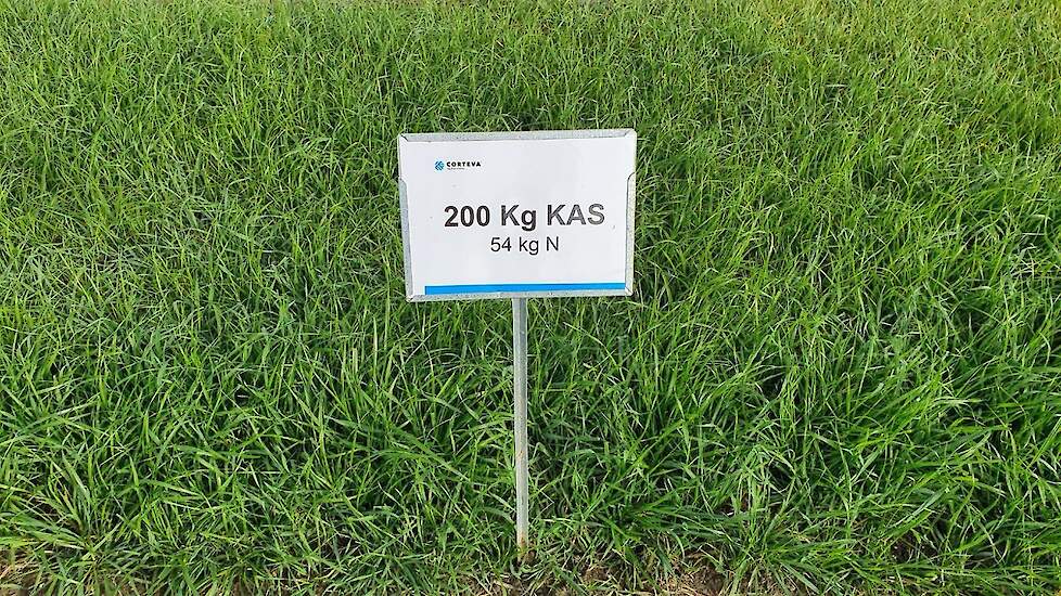 Foto 2: 200 Kg KAS – zonder BlueN