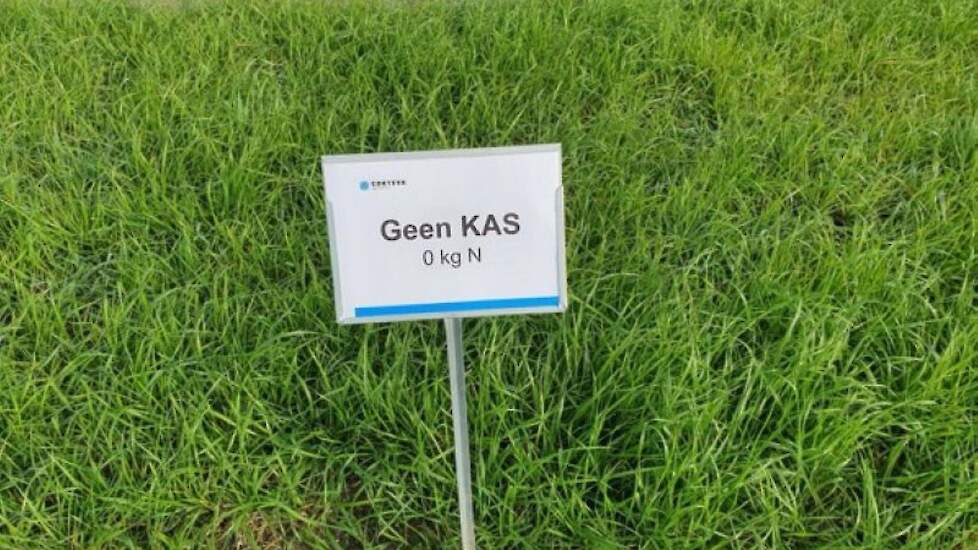 Foto 3: Geen KAS – met BlueN
