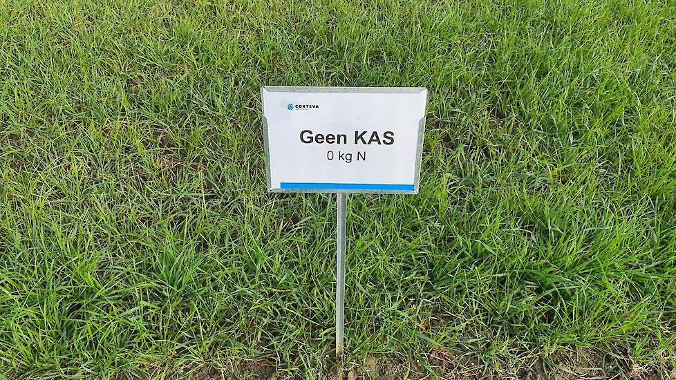 Foto 1: Geen KAS – zonder BlueN